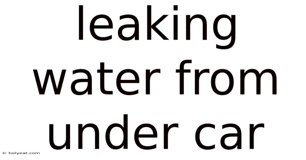Leaking Water From Under Car