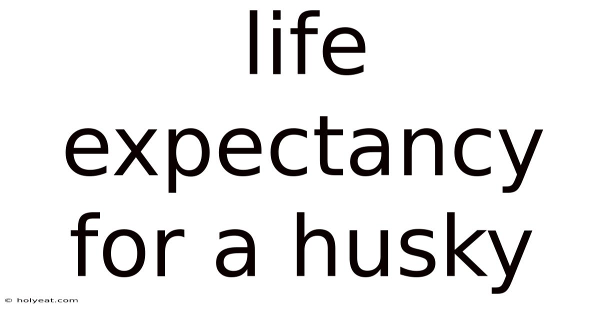 Life Expectancy For A Husky