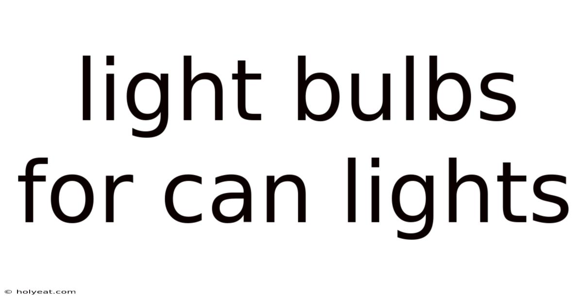 Light Bulbs For Can Lights