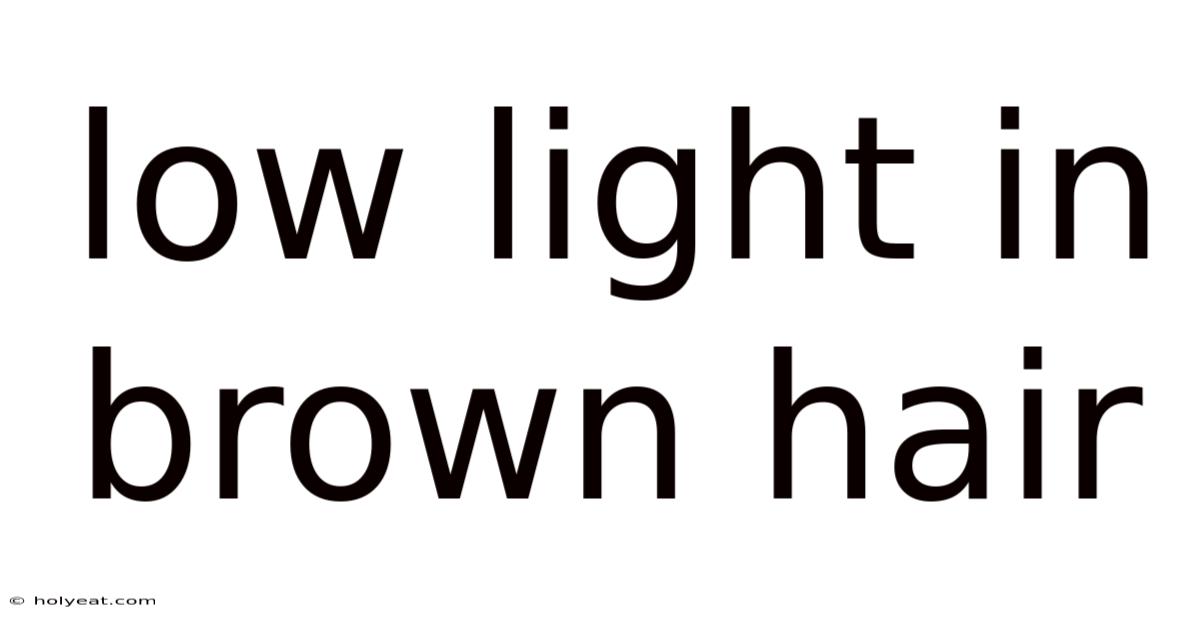 Low Light In Brown Hair