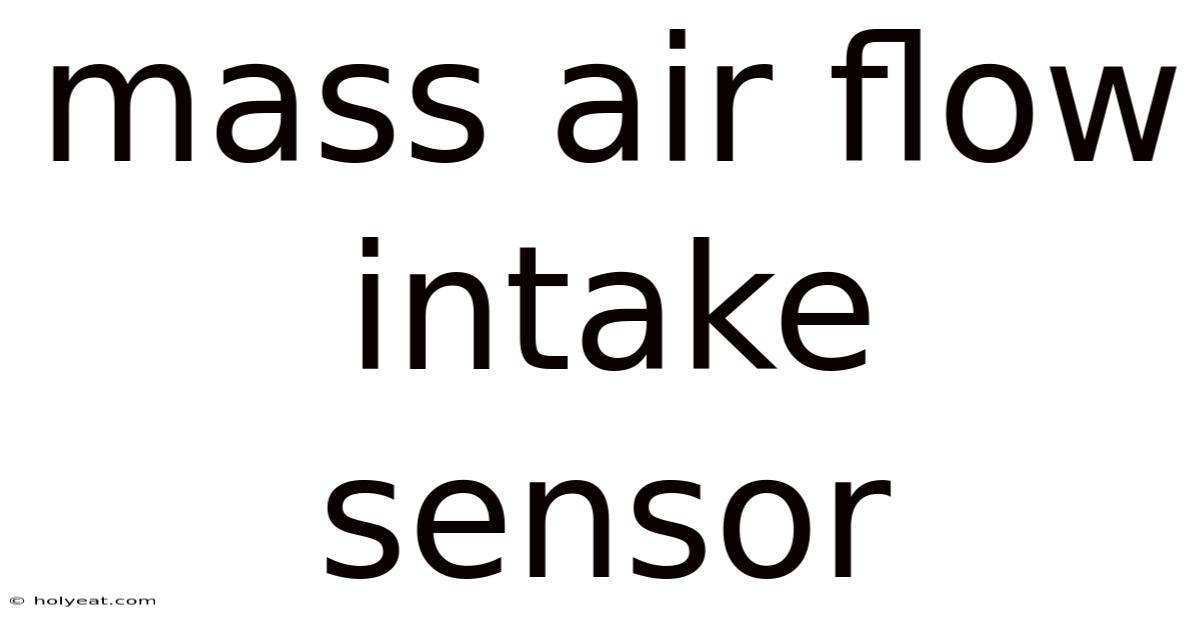 Mass Air Flow Intake Sensor