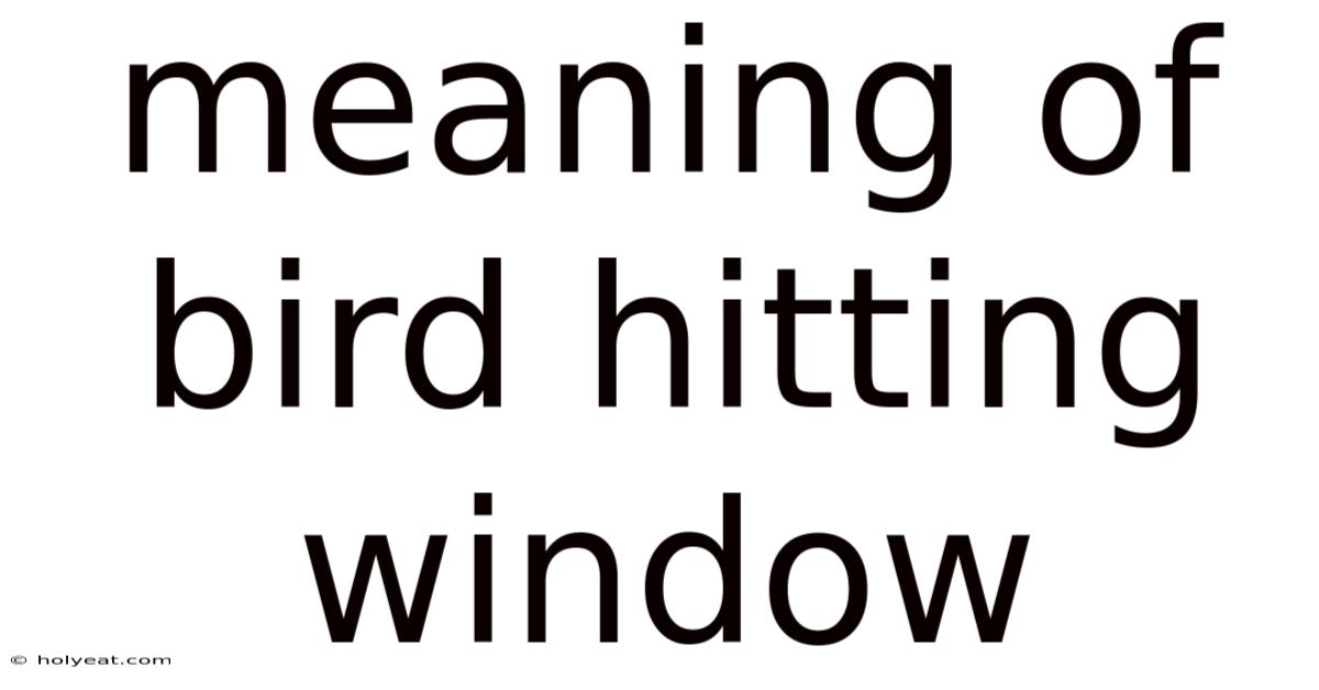 Meaning Of Bird Hitting Window