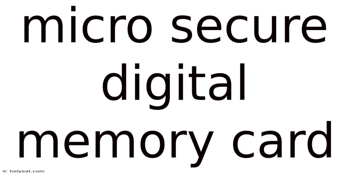 Micro Secure Digital Memory Card