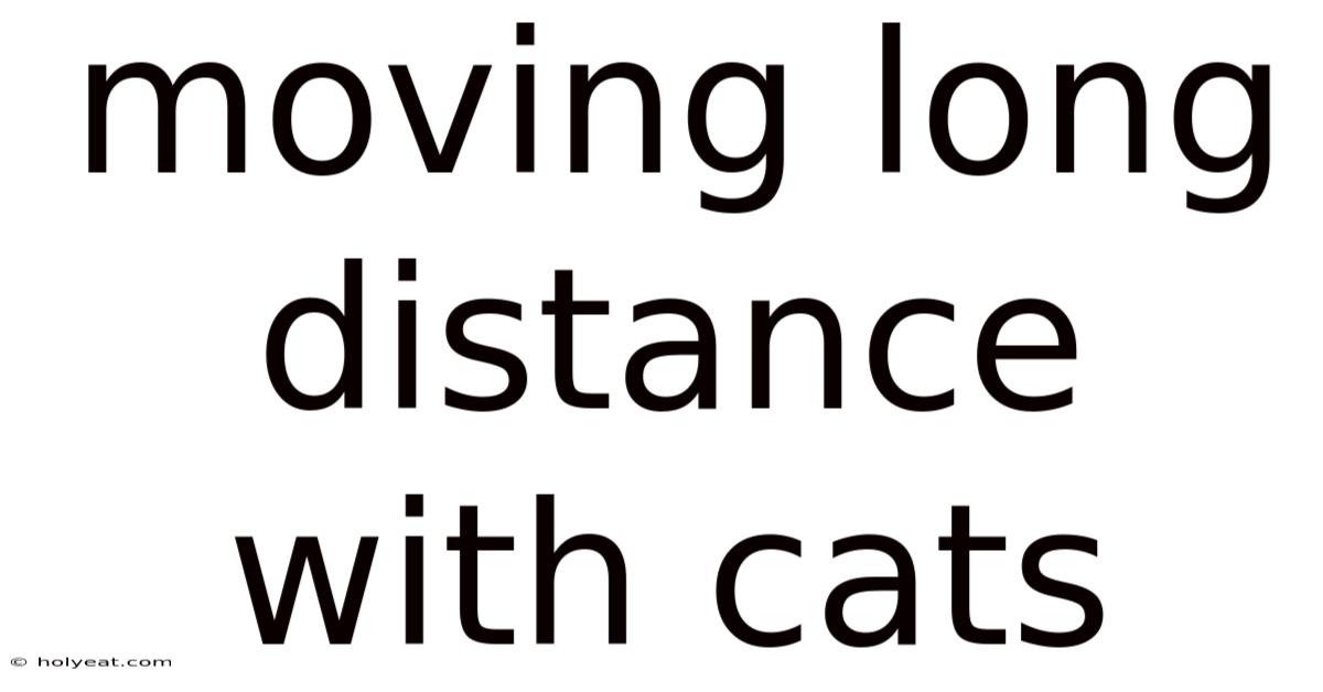 Moving Long Distance With Cats