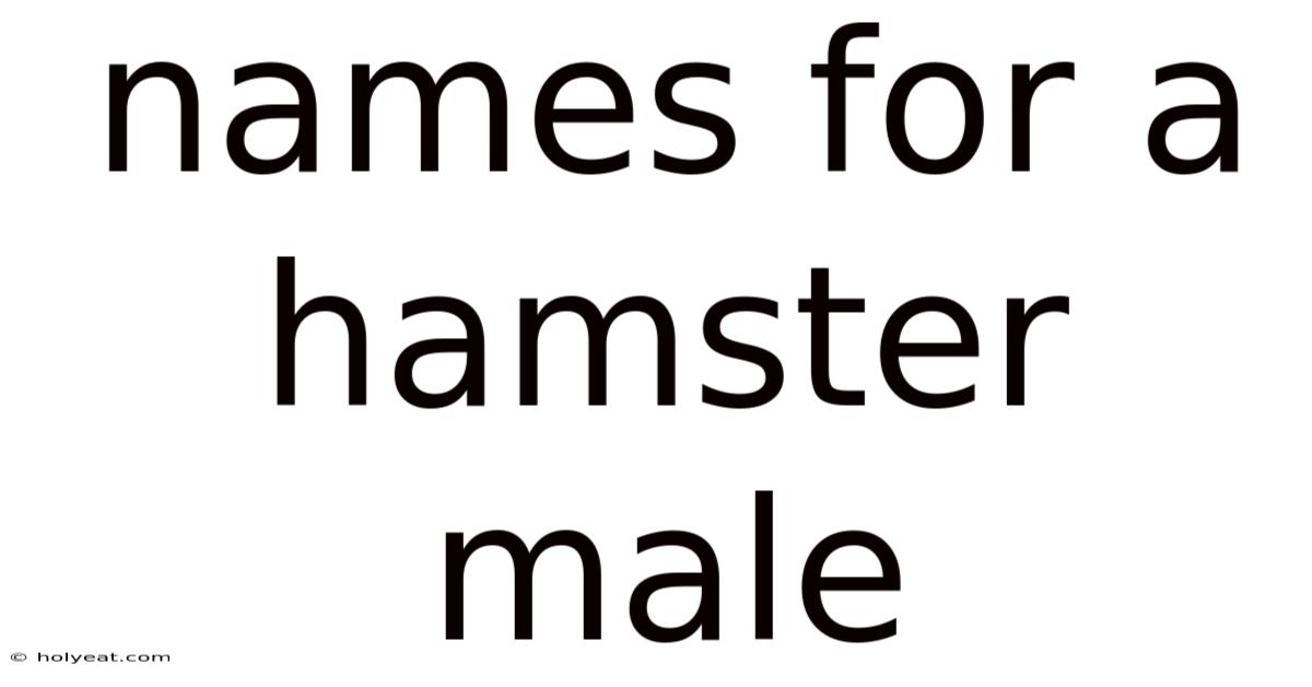 Names For A Hamster Male