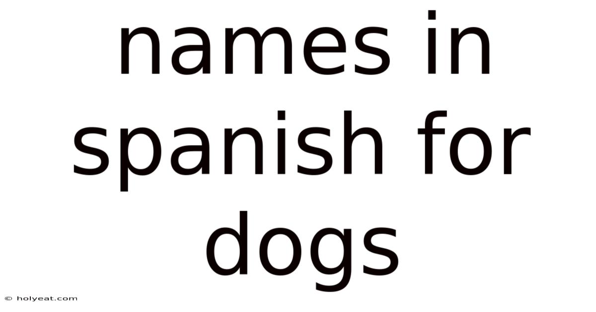 Names In Spanish For Dogs