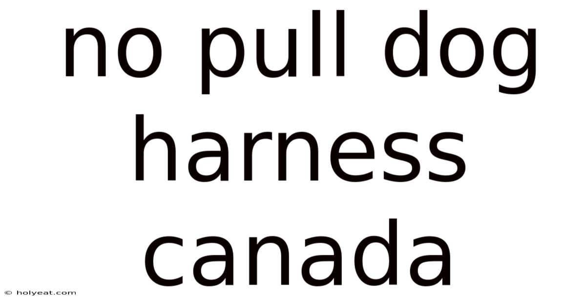 No Pull Dog Harness Canada