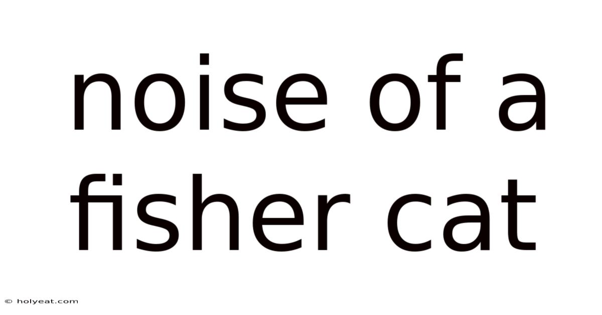 Noise Of A Fisher Cat