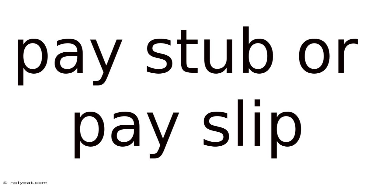 Pay Stub Or Pay Slip