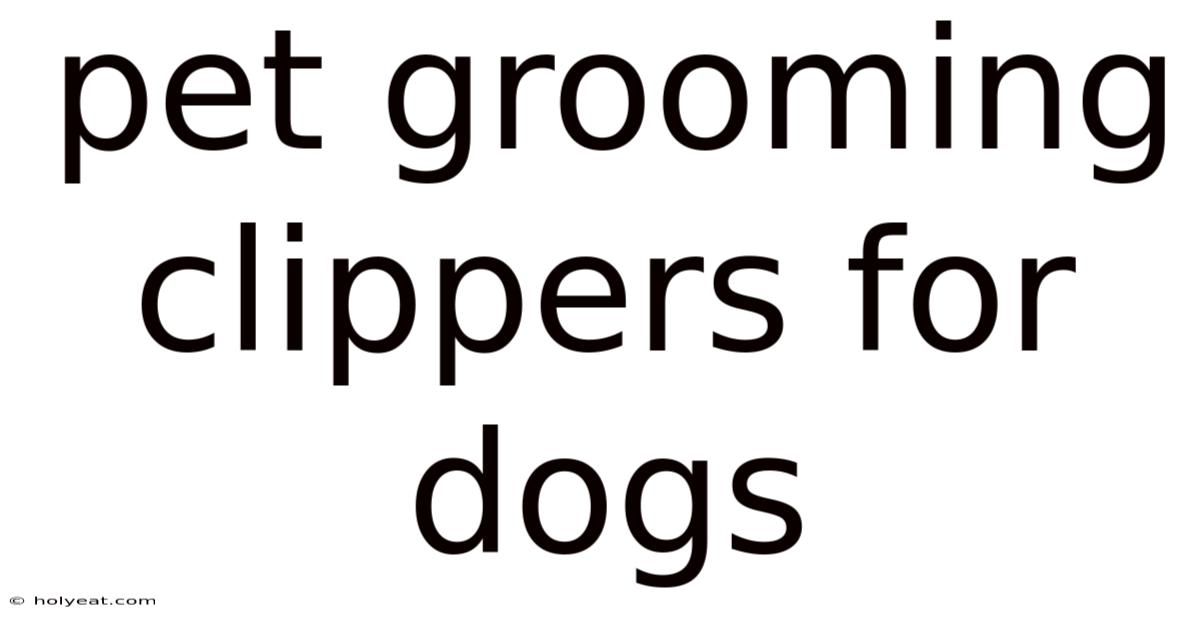 Pet Grooming Clippers For Dogs