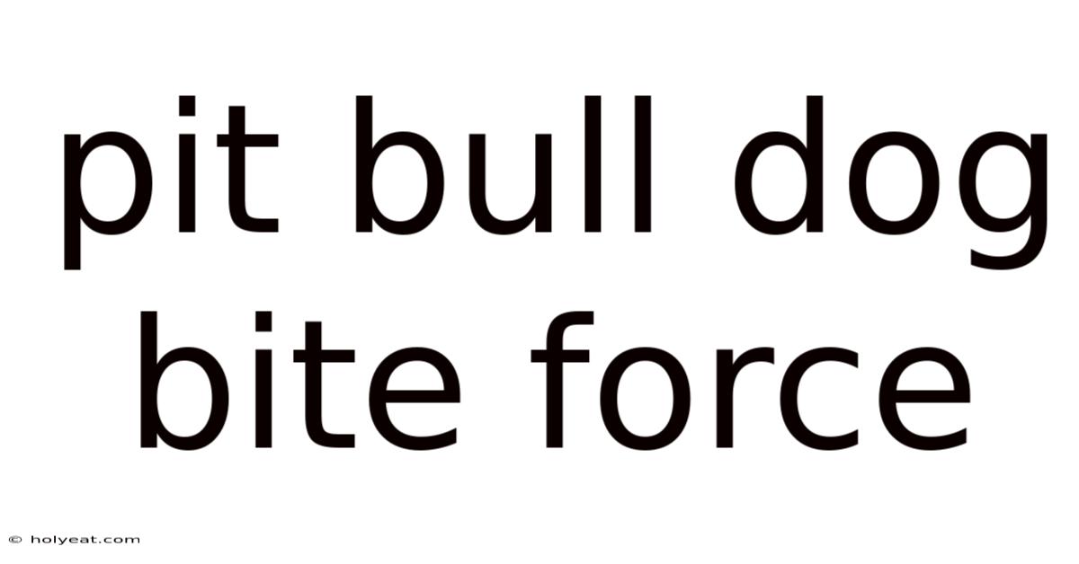 Pit Bull Dog Bite Force