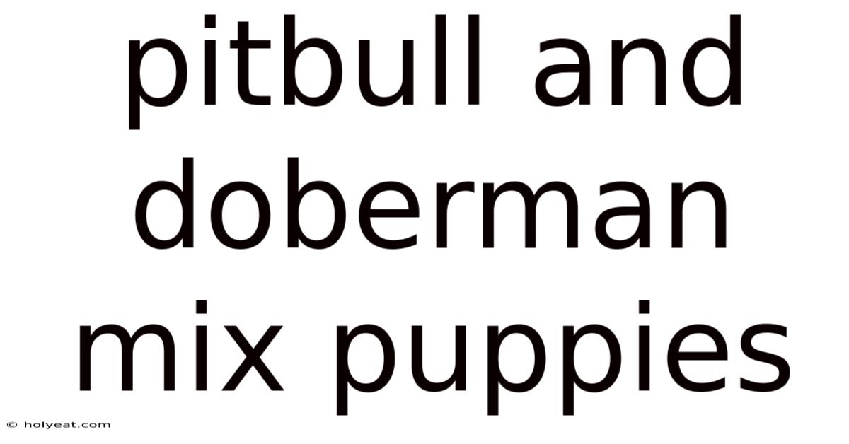 Pitbull And Doberman Mix Puppies