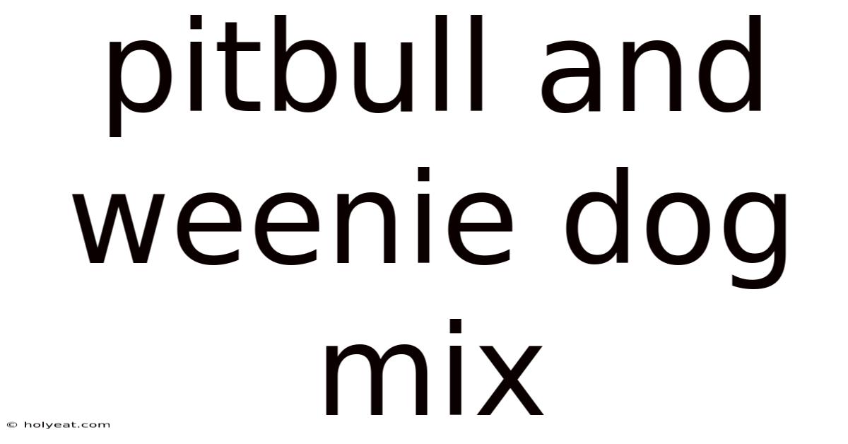 Pitbull And Weenie Dog Mix