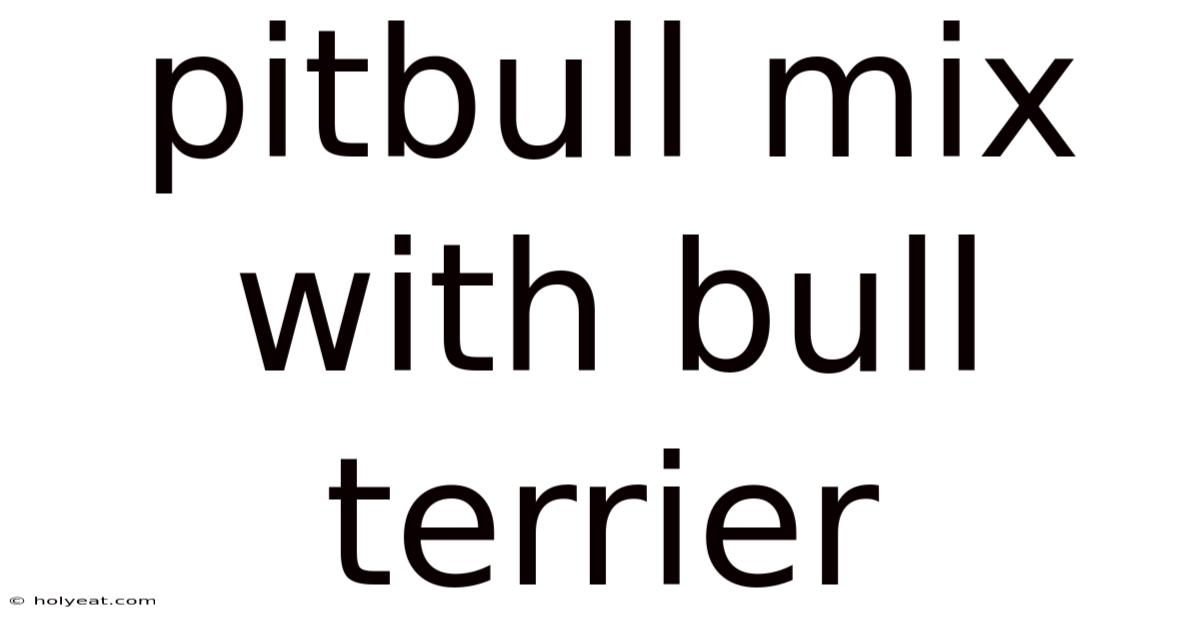 Pitbull Mix With Bull Terrier