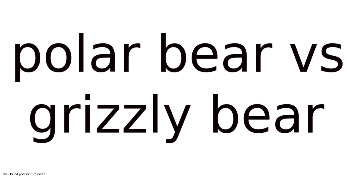 Polar Bear Vs Grizzly Bear