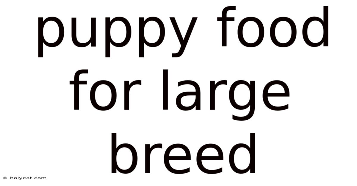 Puppy Food For Large Breed