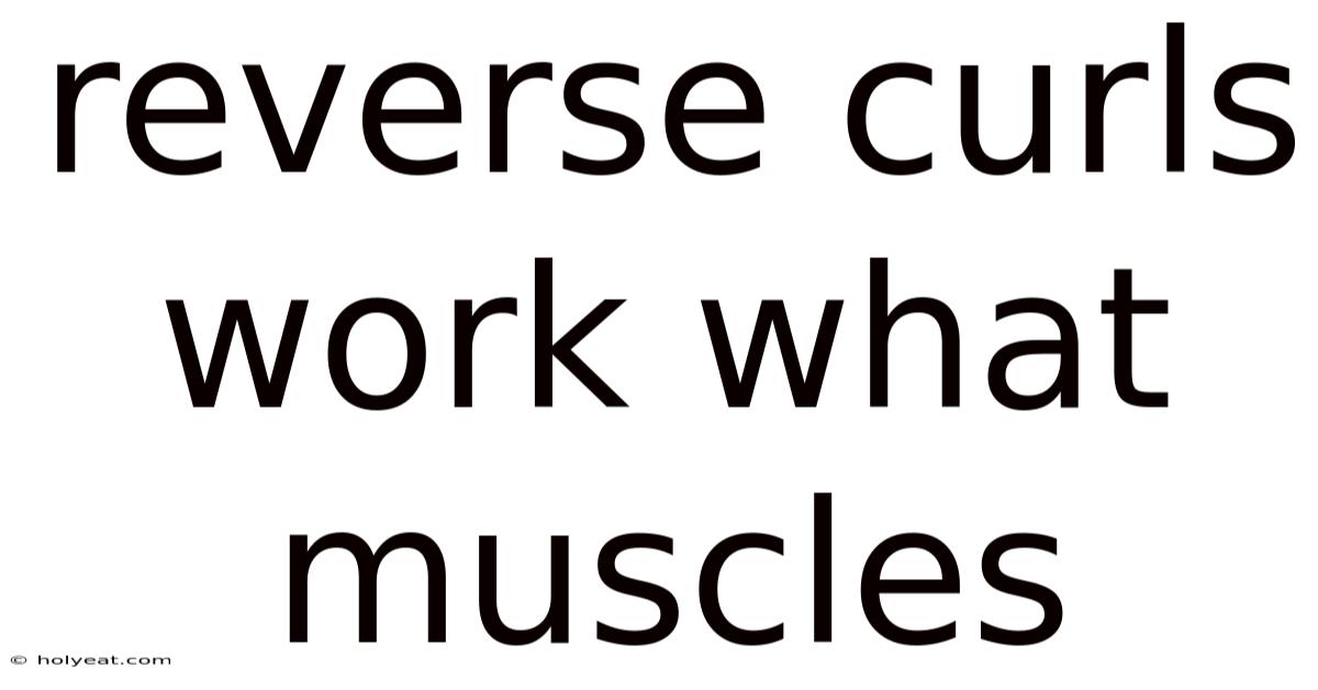 Reverse Curls Work What Muscles