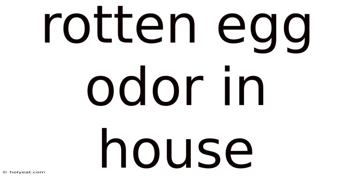 Rotten Egg Odor In House