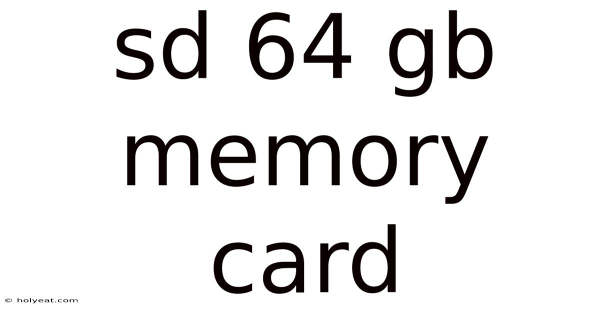 Sd 64 Gb Memory Card