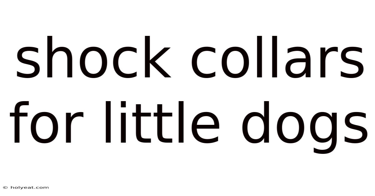 Shock Collars For Little Dogs