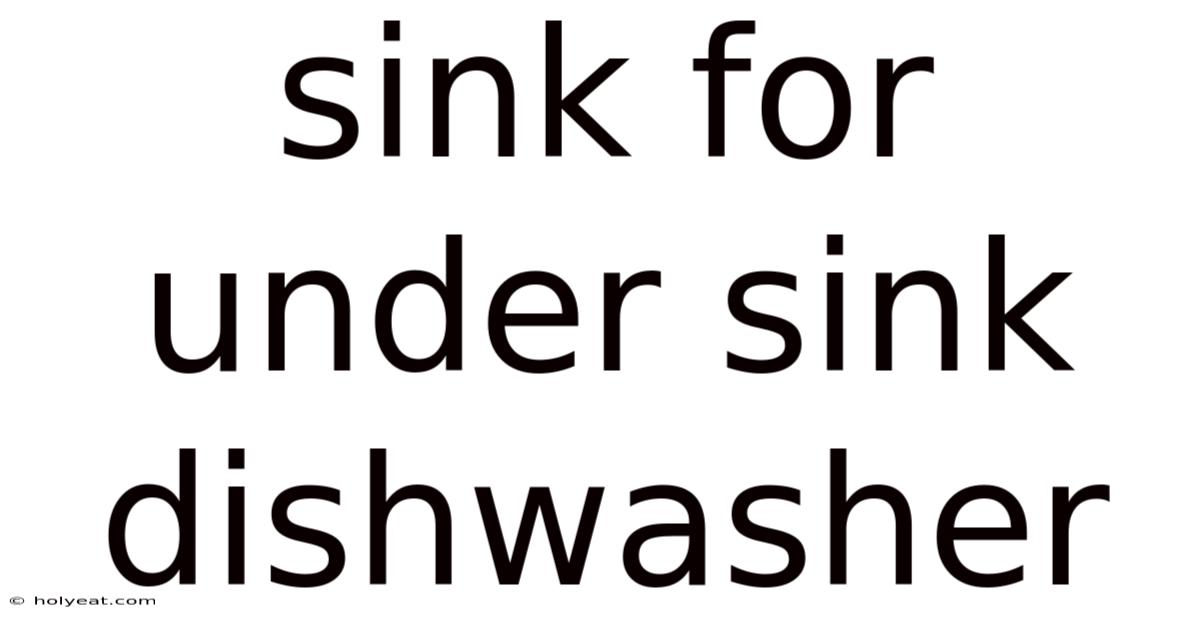Sink For Under Sink Dishwasher