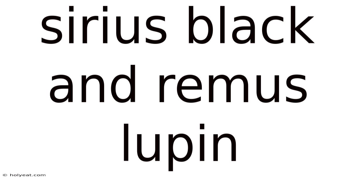Sirius Black And Remus Lupin