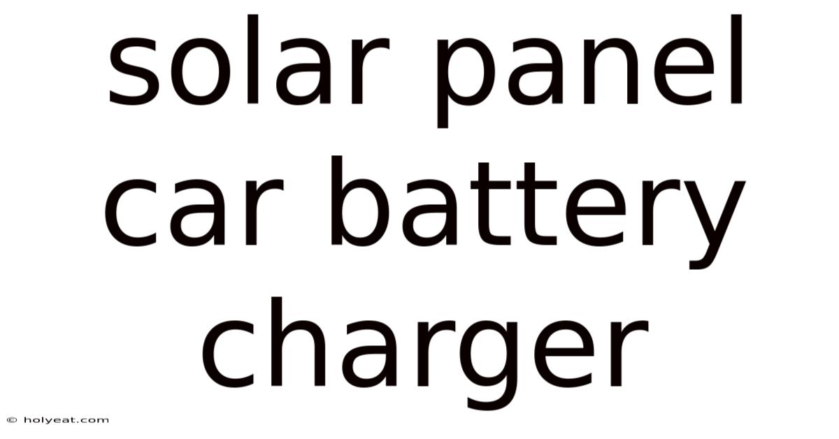 Solar Panel Car Battery Charger