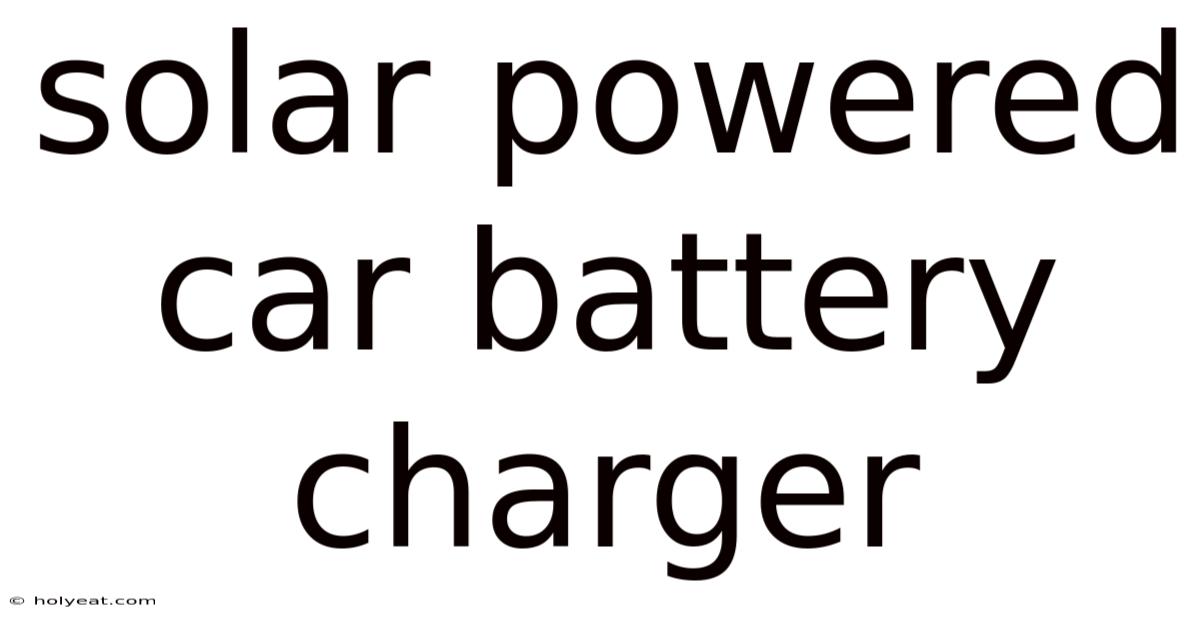 Solar Powered Car Battery Charger