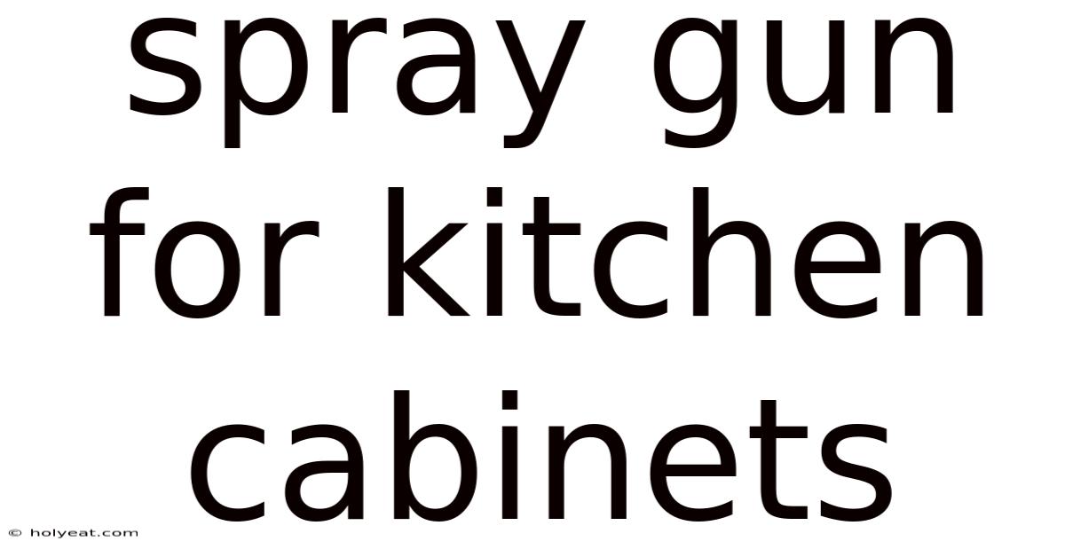 Spray Gun For Kitchen Cabinets