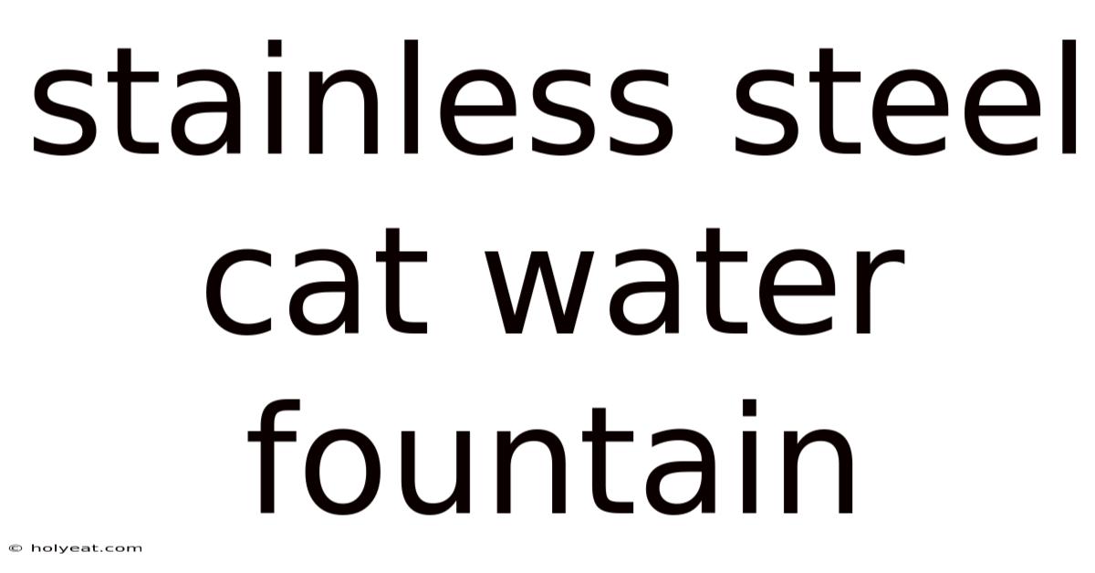 Stainless Steel Cat Water Fountain