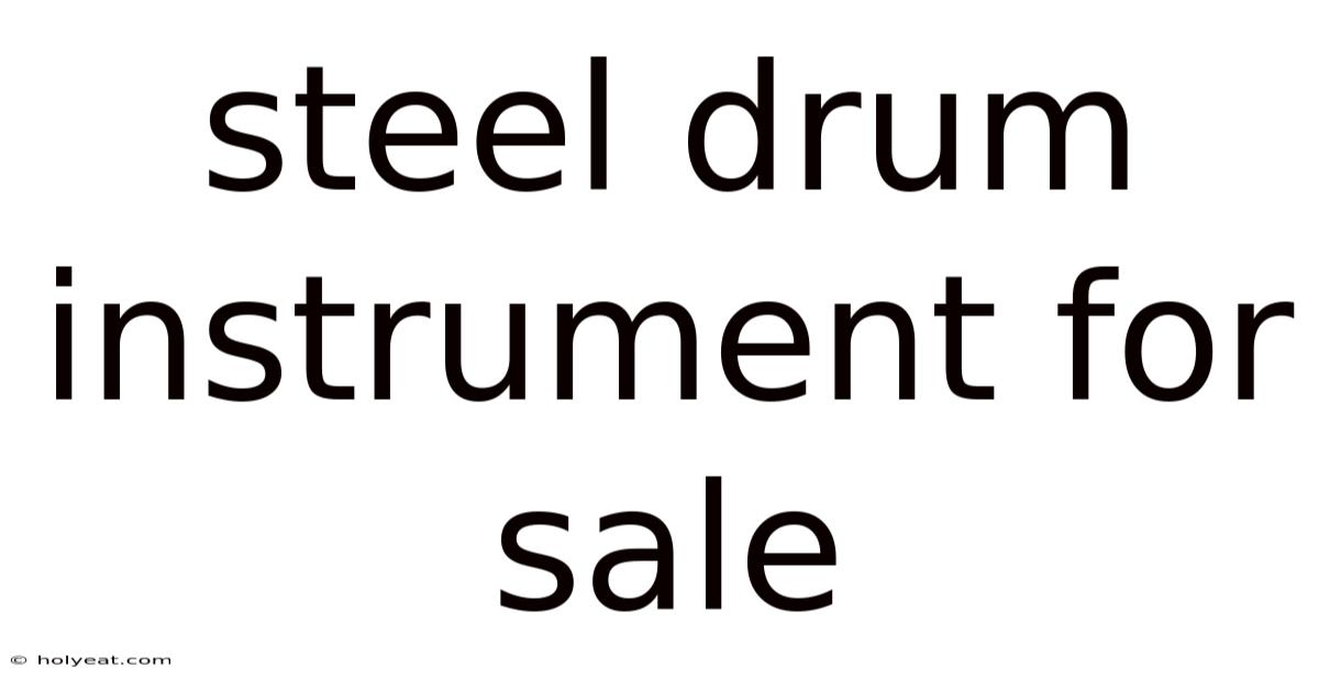 Steel Drum Instrument For Sale