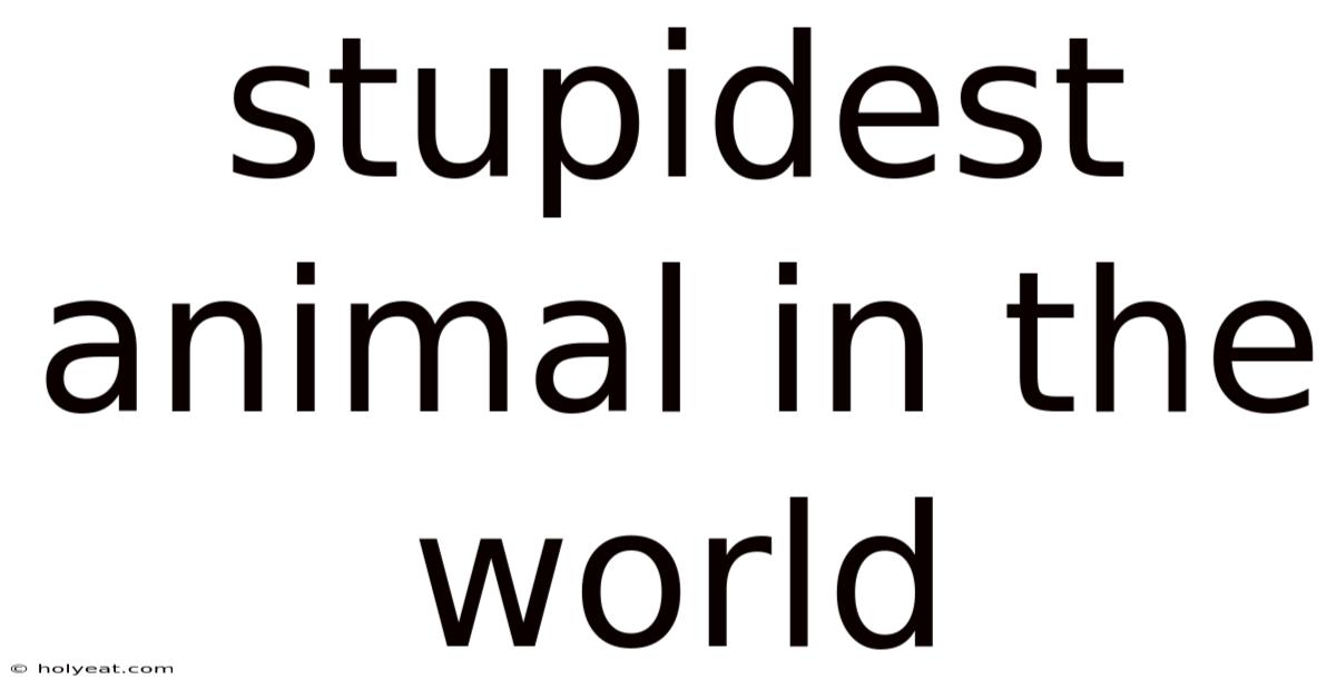 Stupidest Animal In The World