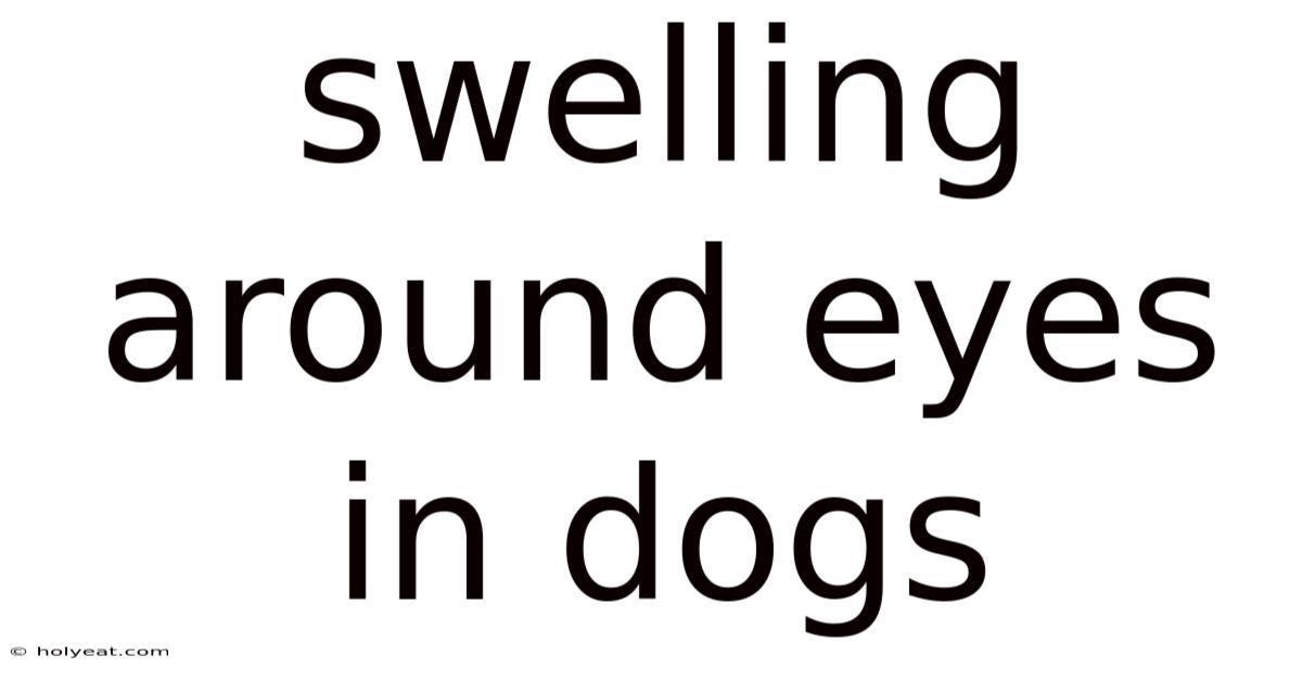 Swelling Around Eyes In Dogs