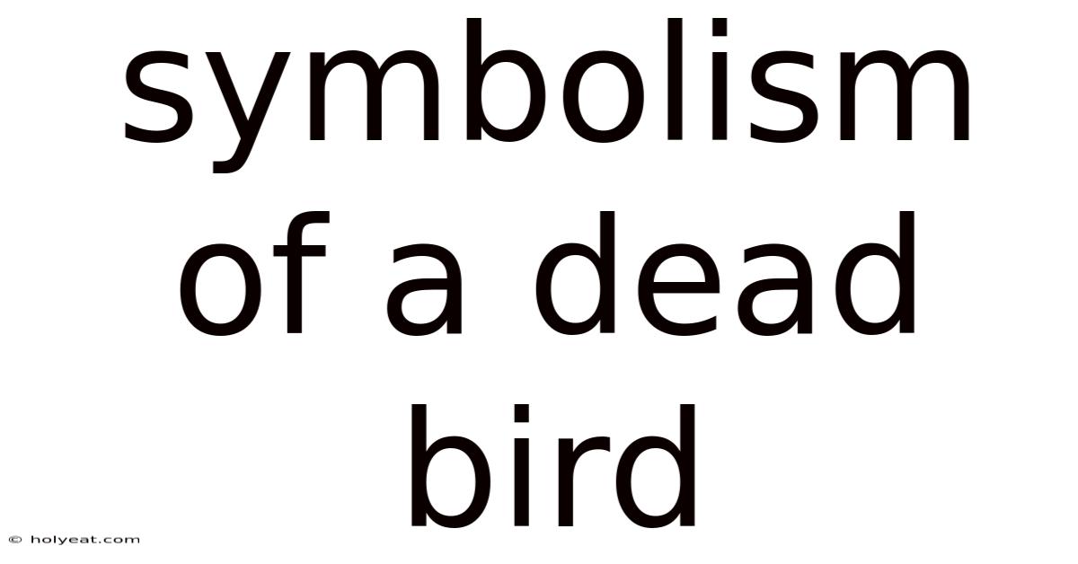Symbolism Of A Dead Bird