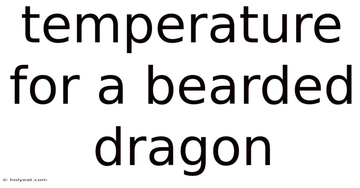 Temperature For A Bearded Dragon