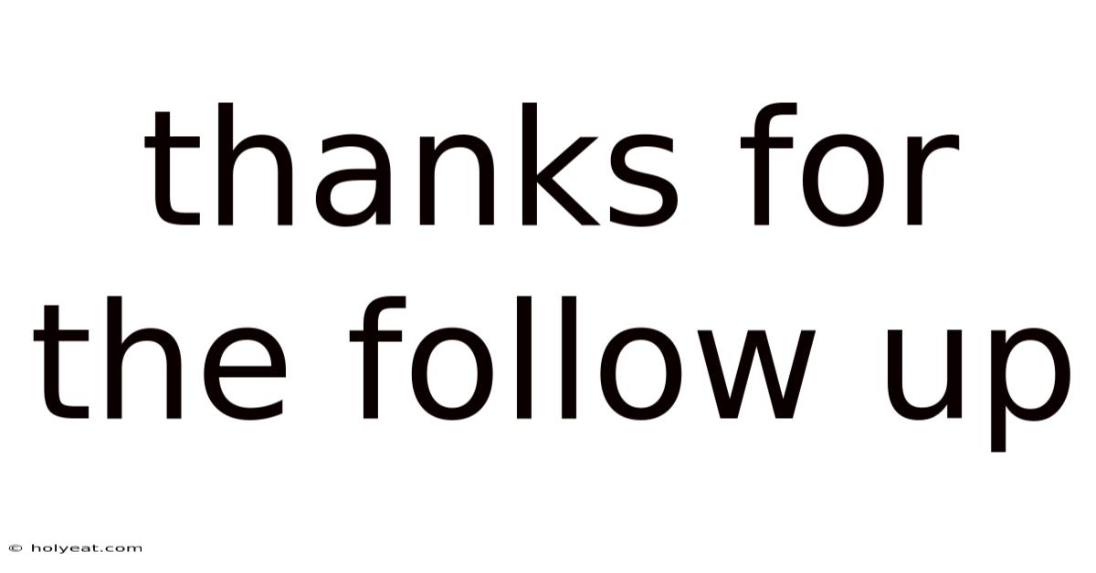 Thanks For The Follow Up