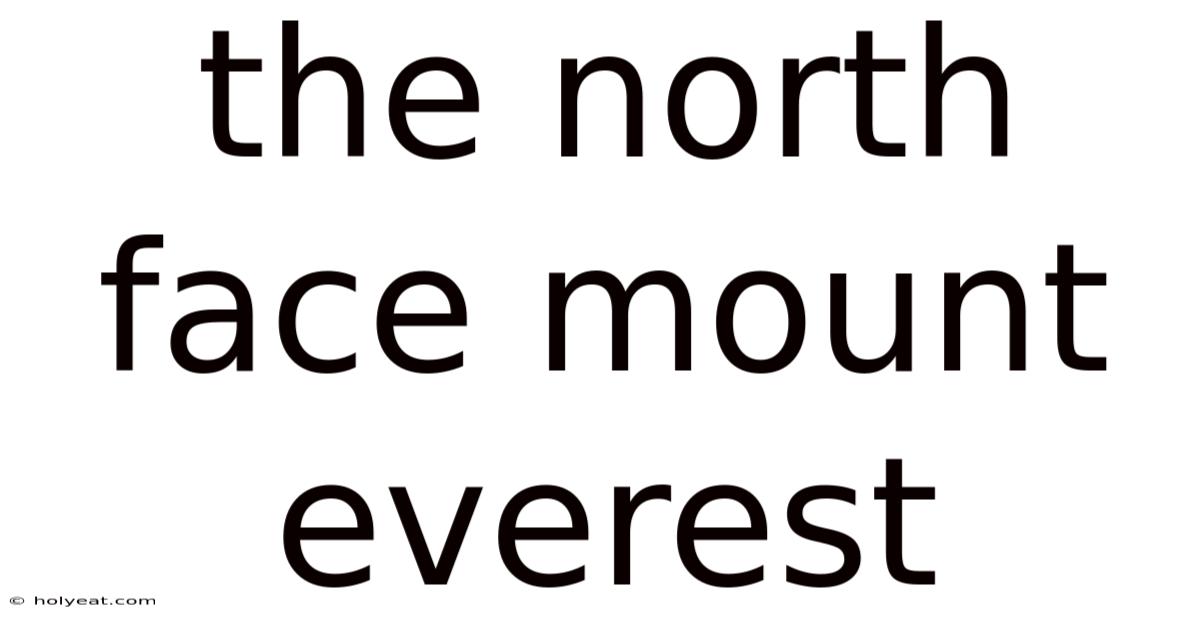 The North Face Mount Everest