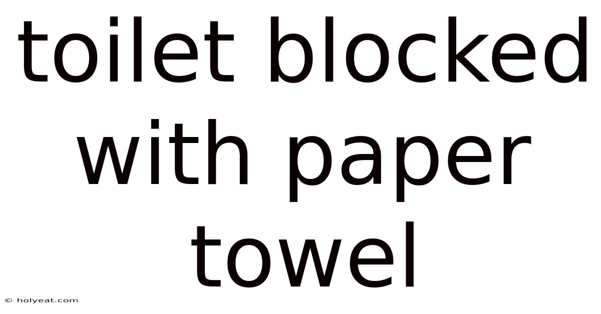 Toilet Blocked With Paper Towel