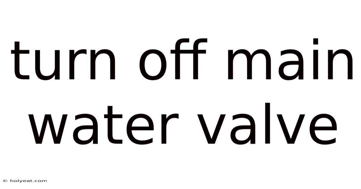 Turn Off Main Water Valve
