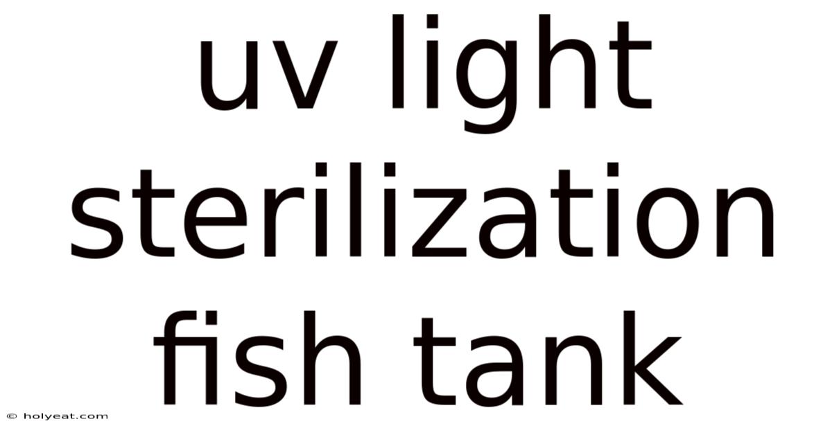 Uv Light Sterilization Fish Tank