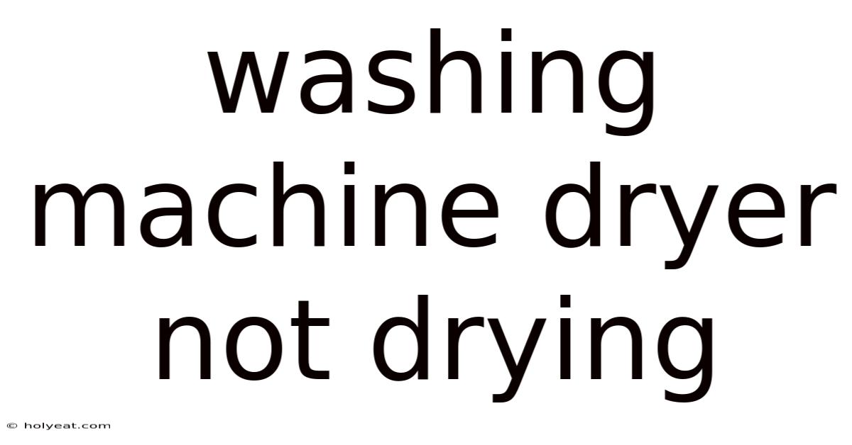 Washing Machine Dryer Not Drying