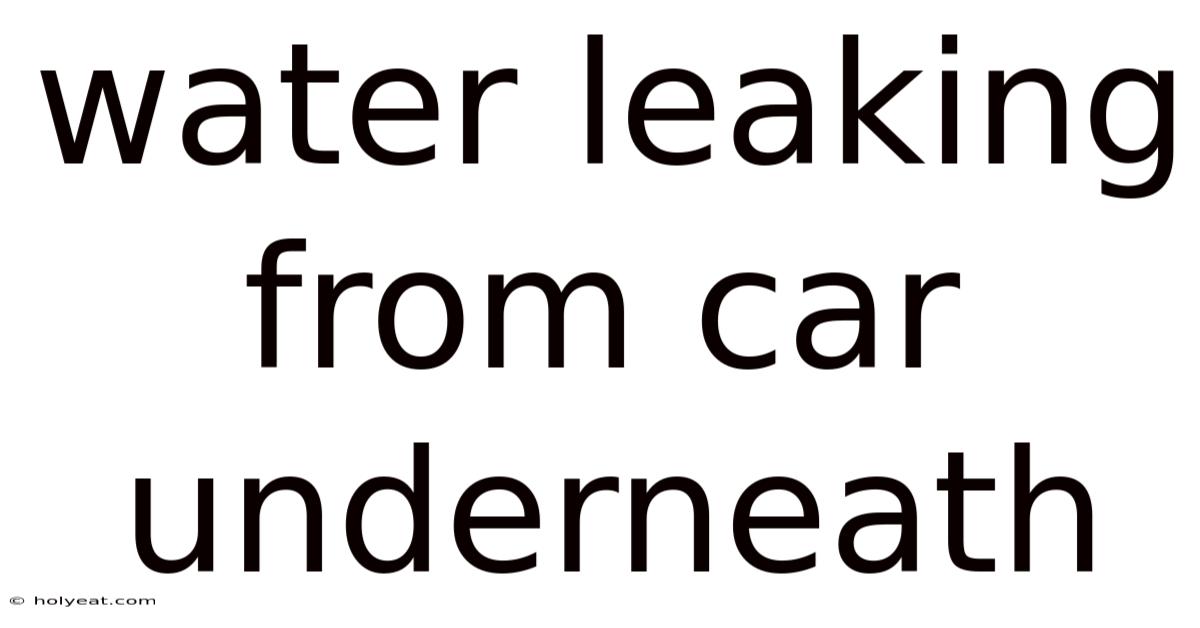Water Leaking From Car Underneath