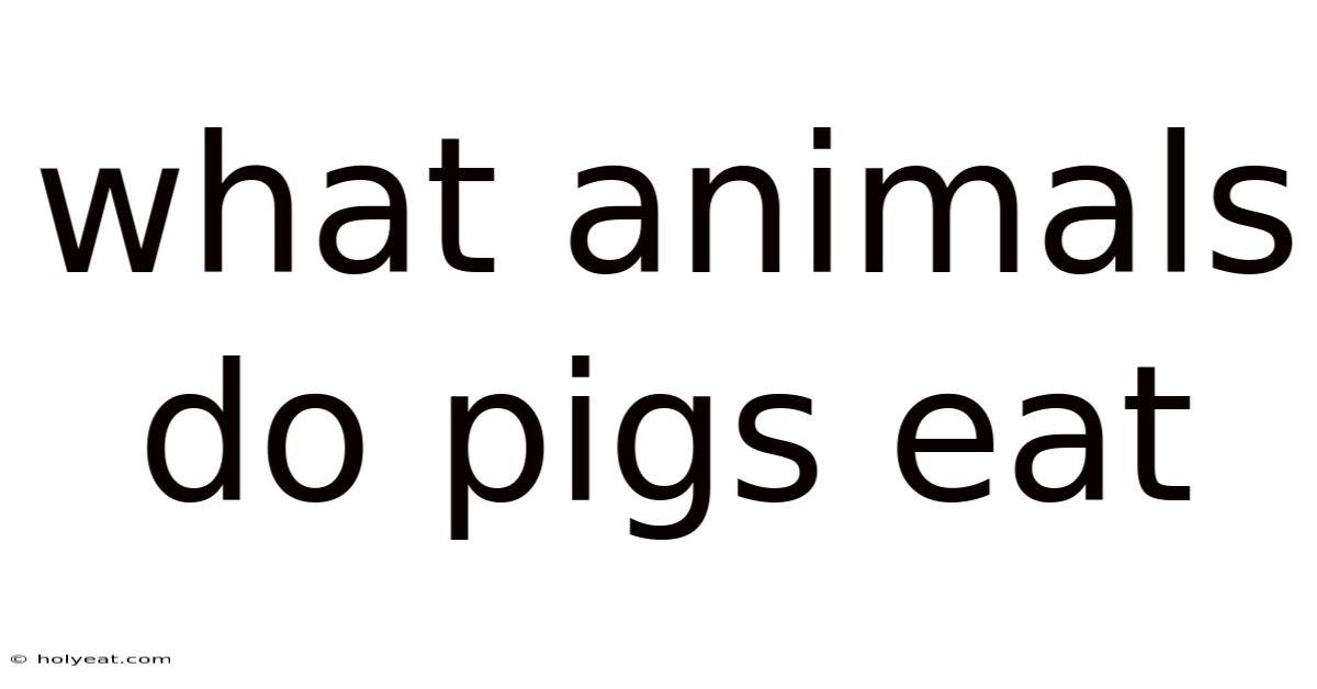 What Animals Do Pigs Eat