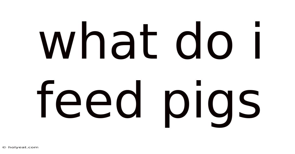 What Do I Feed Pigs