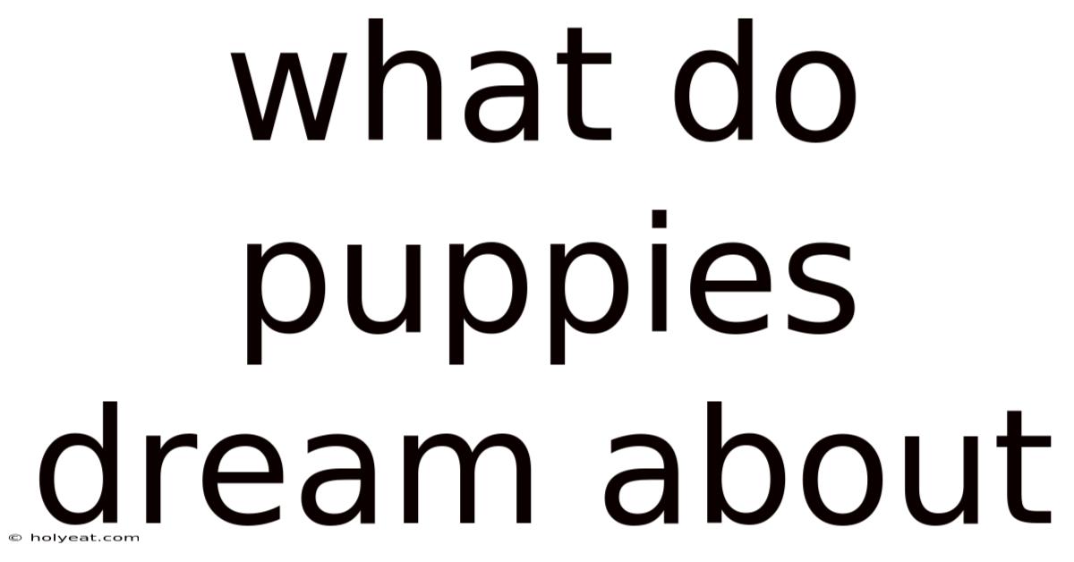 What Do Puppies Dream About