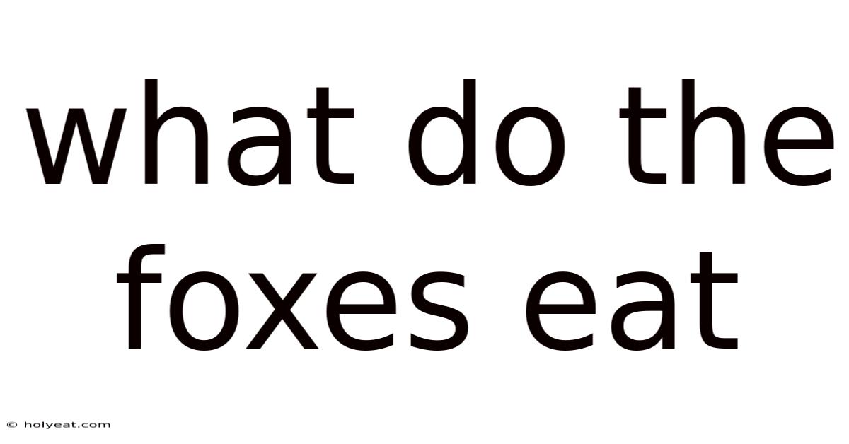 What Do The Foxes Eat