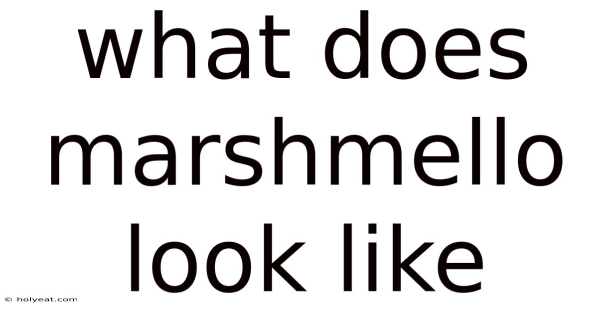 What Does Marshmello Look Like