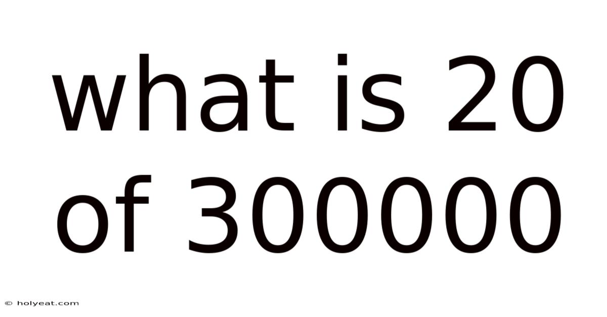 What Is 20 Of 300000