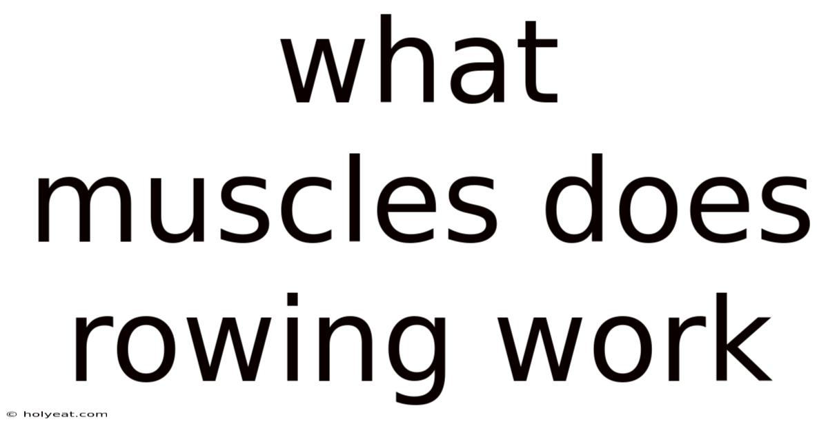 What Muscles Does Rowing Work