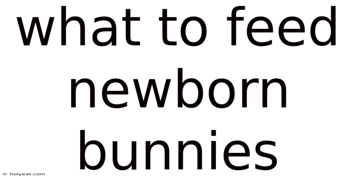 What To Feed Newborn Bunnies